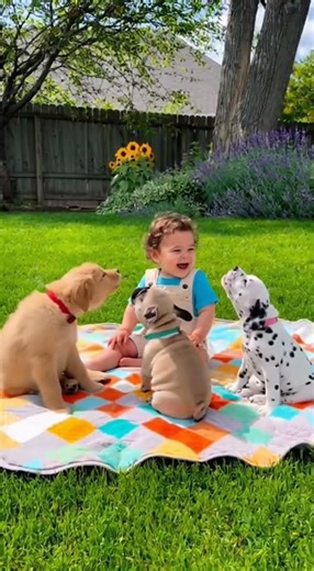 Awooo Duet Battle! 🎶🐶 Vote now! #PuppyAwooSymphony #Shorts