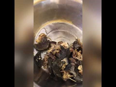 Meilleur façon de nettoyer des escargots