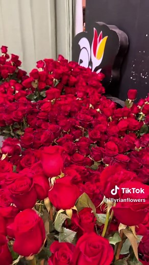 Enduring Love: A Romantic Tribute to Roses