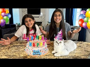 Happy Birthday Cake Surprise to our Cat Bello with Deema and Sally