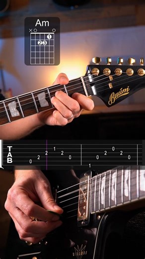 G & Guitar | Lonely Day guitar tutorial - System of a down ➡️ I use Guitar Pro software to make my tabs 🔥 check my bio's links for more 😉 ➡️I play an... | Instagram