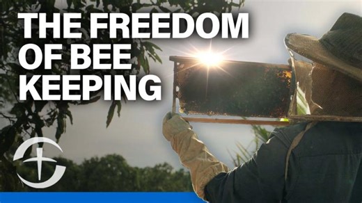 The Life-Changing Effect of Beekeeping For A Cambodian Village | Chris Hendricks