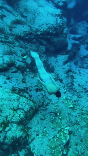 Time to bring out the fabulous fins! #mertailor #merman #Mermen #tiktokmerman #33333 #gayflorida #orlando #yas #gayfyp #diver #passion #bringoutthefabulous #fabulous