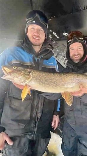 Northern Pike on 2 LB Line?! - ICE FISHING Jigging Action! #icefishing #northernpike #pikefishing