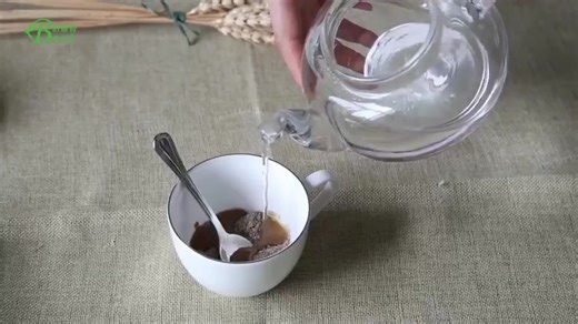 Wholesale Private Label Ganoderma Lucidum Coffee Lingzhi Pioir Ganoderma Ginseng Coffee Instant 4 in 1 Bag Bag Packaging BITTER