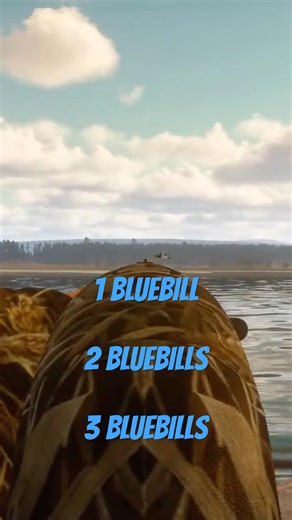3 Scaup in 15 Seconds – Clean Bluebill Triple! 🦆💥