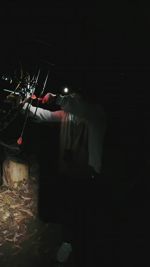 Shooting my Hoyt Ventum 2021 at 70lbs. So quiet and smooth. Will post my setup. #hoyt #compoundbow #fyp #SaveIt4TheEndZone #hunting #archery