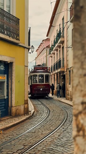 774 reactions · 52 shares |  This is one of the narrowest streets in the city that still has trams running through it. When they pass, you have to press yourself against the wall to let the car go by. Two tracks merge into one here, so trams take turns using the street, with the flow controlled by a traffic light. R. das Escolas Gerais #lisbon #lisboa #expatlife #videoproduction #tram28 #portugal | Dmitrii Averin | Facebook