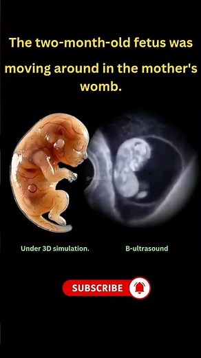 2month fetus in womb |Baby Growth & pregnancy Ultrasound Animation #2monthsbaby #viral