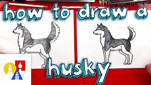 How To Draw A Husky!