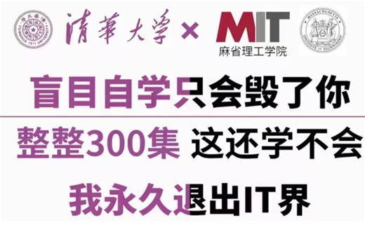 【比刷剧更爽！】清华大学和麻省理工大学强强联手打造的java语言教程！全套300集！全程干货，无废话！这还学不会，我永久退出IT界！