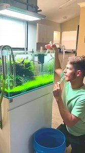 1.4M views · 6.4K reactions | Stop using your mouth to start the suction #shorts #aquarium #aquarium #fish #plants #hobby #water #betta #viralpage #reelsvideos #foryoupageシ | Aquatic Wonders Hub | Facebook