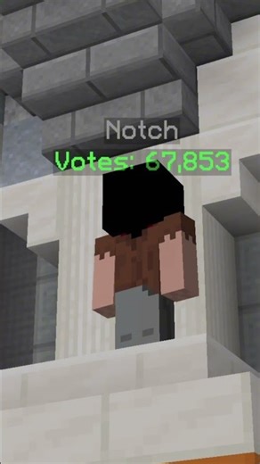 Notch in Hypixel Skyblocks Election? #hypixelskyblock #minecraft #auramayor