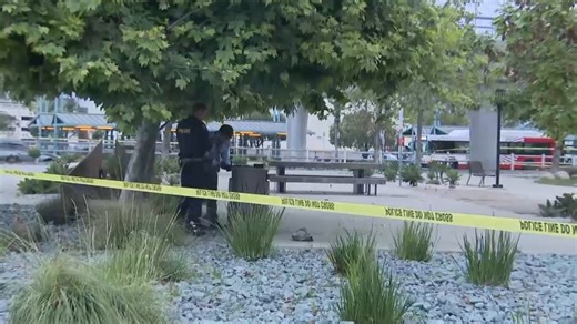 Body found near Fashion Valley Mall was man who was stabbed to death: SDPD