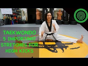 Taekwondo 5 Stretches for High Kick Flexibility in any Combat Sport
