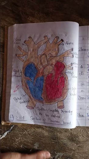 Class 7th science chapter 7 notes #biology