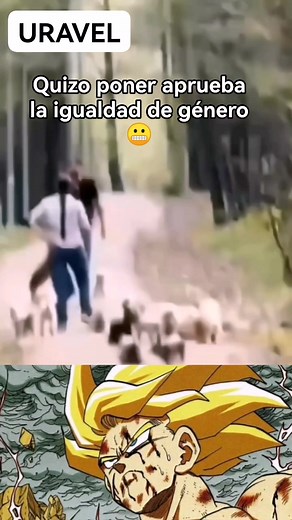 614K views · 12K reactions | Puso las cosas de igual manera #viralpost2025シ #viralreelsシ #video #reals #final #viralpost | De todo un poco, videos, historias y analisis | Facebook