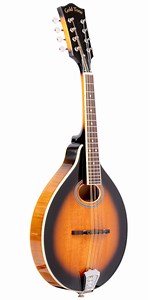GM-50 : A-Style Mandolin with Pickup and Bag