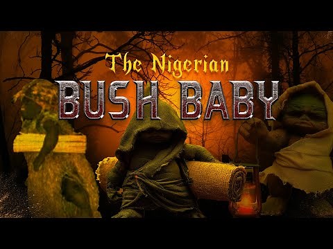 THE BUSH BABY EGBERE : Legend of the Little Monster in the Nigerian Forest