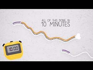 RT-PCR in 10 Minutes: Fast Reverse Transcription Explained