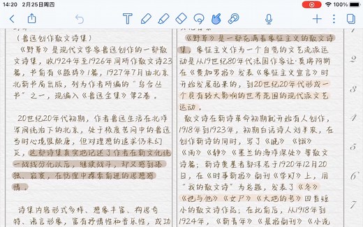 电子笔记模板展示-goodnotes/notability/iPad无纸化学习