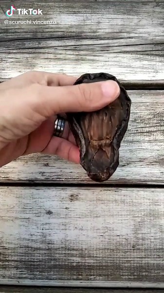 What Fruit is This? Unveiling the Mystery of the Alien Fruit