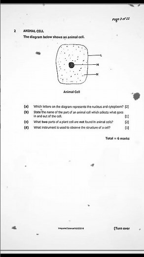 science exam preparations Grade 9