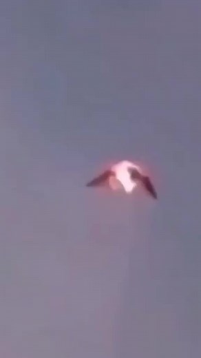 UFO FOOTAGE... . .#ufo #alien #aliens #ufos #ovni #area #ufosighting #ufology #space #ufologia #ufovideo #ufosky #ufoball #aliens #ufosighting #ufoalien #ufocommunity #realufos #reelsfb #reels2023 #reelsviral #reelsvideo | Ufos live