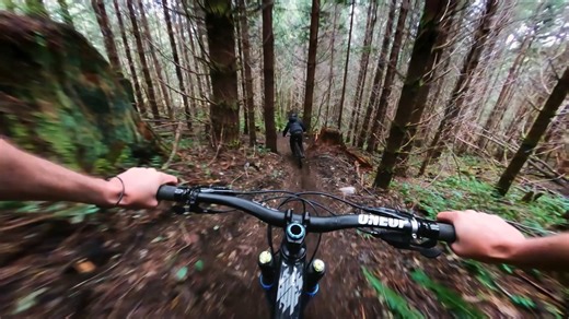 11K views · 301 reactions | Find your flow in the forest with #GoProAthlete Rémy Métailler. Remy uses the Max Lens Mod on #GoProHERO11 Black for the Max SuperView Digital Lens—the widest + smoothest video possible on a HERO camera. Tap the product tag or link below to learn more. GoPro.com/shop/mounts-accessories/max-lens-mod/ADWAL-001.html | GoPro | Facebook