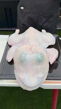 How to Prep a Turkey into a Frog #turkey #spatchcock #frog