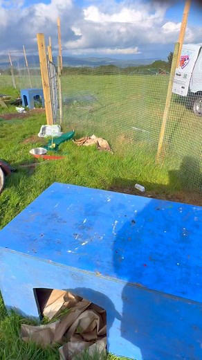 3.4K views · 327 reactions | Practicing side by side posing. It’s a critical life skill you know  #thedoglady #thedogladyireland #dorisandstephen #doristherottweiler #stephentherottweiler | The Dog Lady- Dog Training | Facebook