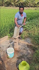Traditional Hand Pump Used for Farming #shorts #water #irrigation
