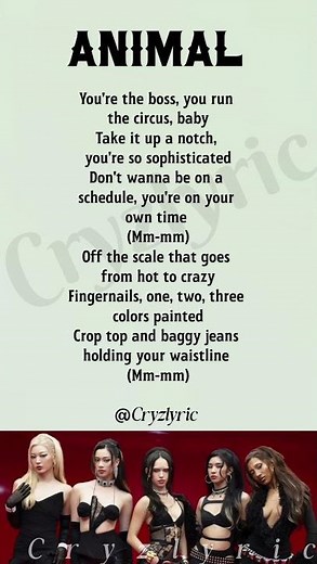 Katseye - Animal (Lyrics)