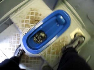 仮設簡易水洗トイレ 1 Squat Toilet