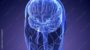 Artificial intelligence digital brain with a neural network Stock Video