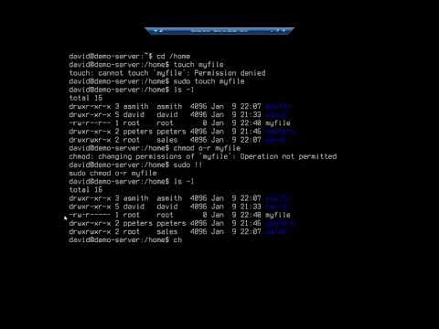 Managing file permissions and ownership in Ubuntu Server