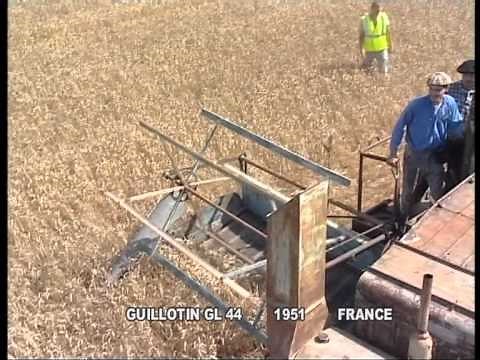 Démonstration de moissonneuses batteuses anciennes à St loup