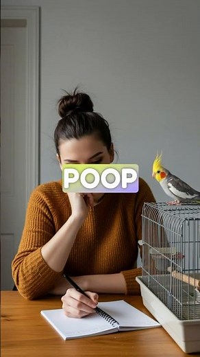 Decode your birds poop #poop #birdpoop #parrot #birds #cockatiel #budgies
