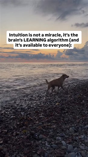 Mary on Instagram: "1. Intuition is not a sixth sense, it is ultra fast pattern recognition. A Princeton study showed that the brain can make accurate decisions in just 200 milliseconds, long before conscious thought kicks in. It simply recognizes patterns. This is not magic, it is statistics written into neurons. The more experience you have lived, the sharper your predictive brain becomes. 2. When you think your heart is speaking, it is actually the premotor cortex, the part of the brain that 