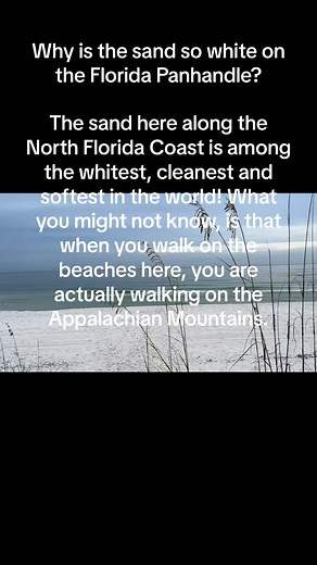 Family Adventure Vacations on TikTok