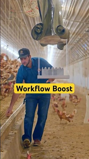 Why Layer Farms Are Switching to a Configurable Egg Cart System