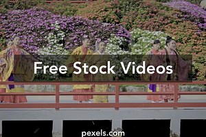 Dance Culture Videos, Download The BEST Free 4k Stock Video Footage & Dance Culture HD Video Clips