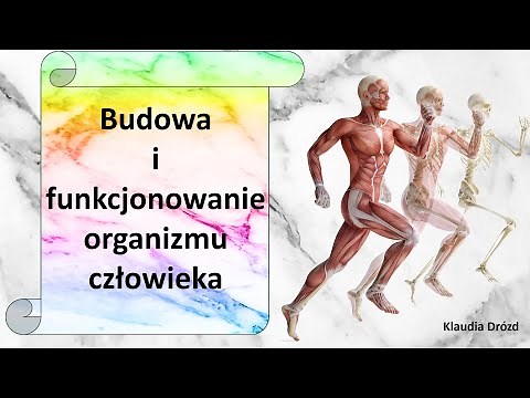 Budowa i funkcjonowanie organizmu człowieka (w skrócie) - prezentacja multimedialna
