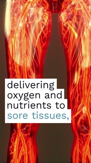 Topical L-Carnitine NRPC Vertical