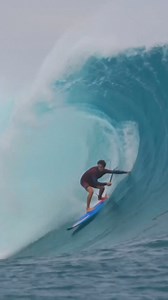 35K views · 286 reactions | Welcome to the Starboard Universe! Where...