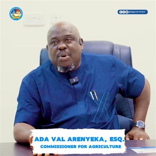 1.3K views · 144 reactions | Delta State Government, in its drive to...