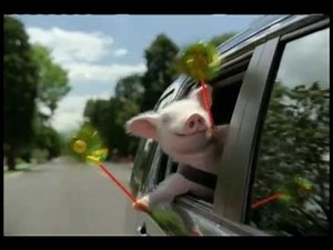Geico Pig Commercial (Remix)