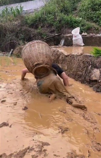 The Strongest Farmer You’ll Ever See: Legs Disabled, But Never Quitting
