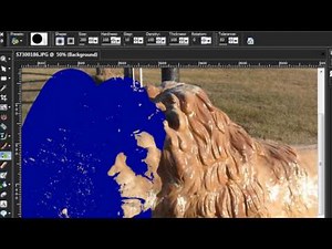 Paint Shop Pro Basics 36) Tools - Color Replacer Brush