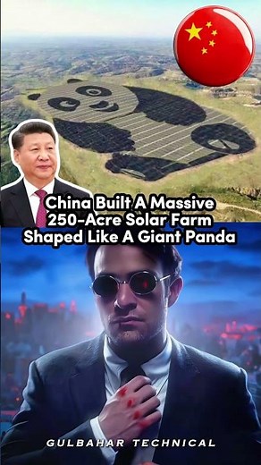 World’s Cutest Solar Farm: Panda Style! 🐼🌞